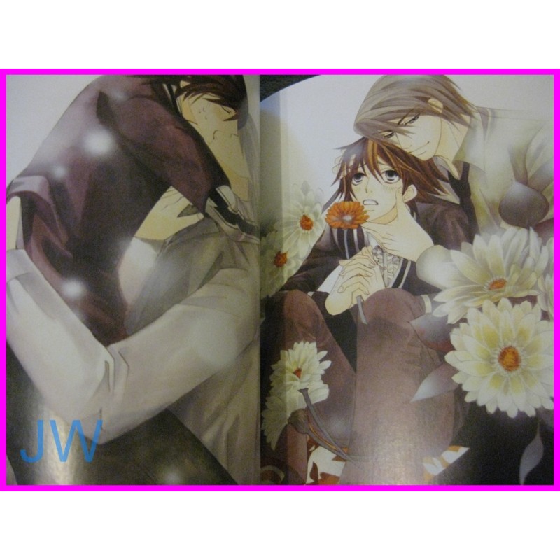 JUNJOU ROMANTICA Junjo SHUNGIKU NAKAMURA ILLUSTRATION Manga ArtBook JAPAN art book YAOI Shonen ai