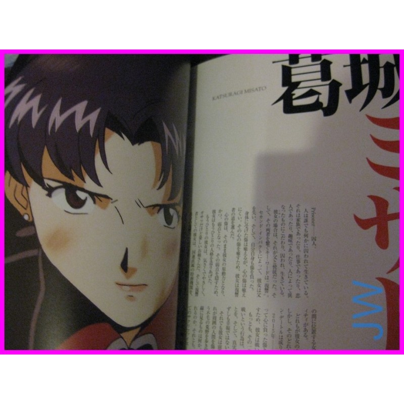 EVANGELION Photo File EVE Girls Anime Special 