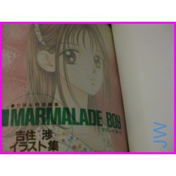 MARMALADE BOY Wataru Yoshizumi Illustration Book ArtBook Shojo Manga JAPAN