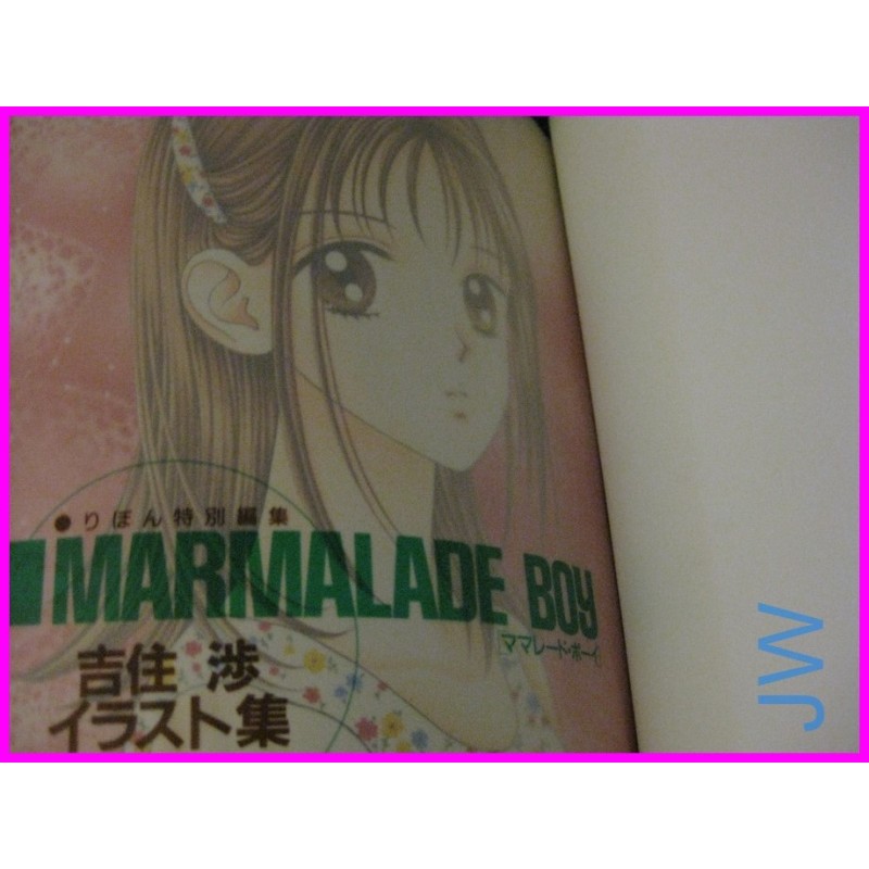 MARMALADE BOY Wataru Yoshizumi Illustration Book ArtBook Shojo Manga JAPAN