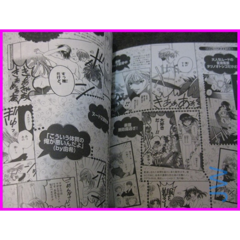 FRUITS BASKET Manga CHARACTER FANBOOK Book ArtBook art book Natsuki Takaya SHOJO