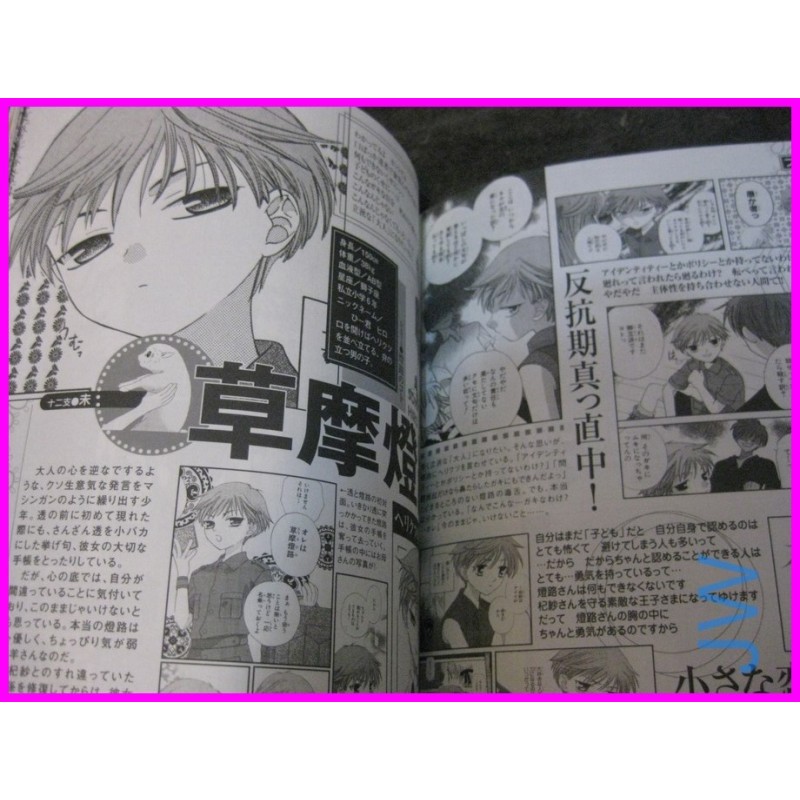FRUITS BASKET Manga CHARACTER FANBOOK Book ArtBook art book Natsuki Takaya SHOJO