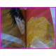 PASSIONATE Natsumi Itsuki ILLUSTRATION ArtBook art book SHOJO