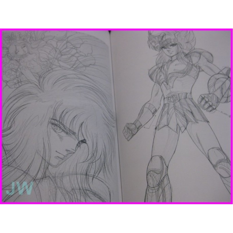 SAINT SEIYA Cavalieri Zodiaco HIKARI anime ILLUSTRATION Book ArtBook anime 80s Haraki Himeno