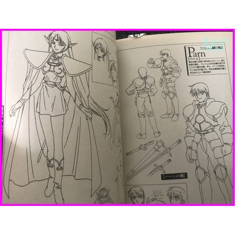 RECORD OF LODOSS WAR TV anime Film Book Vol.1-2 Anime Book Illustration Manga