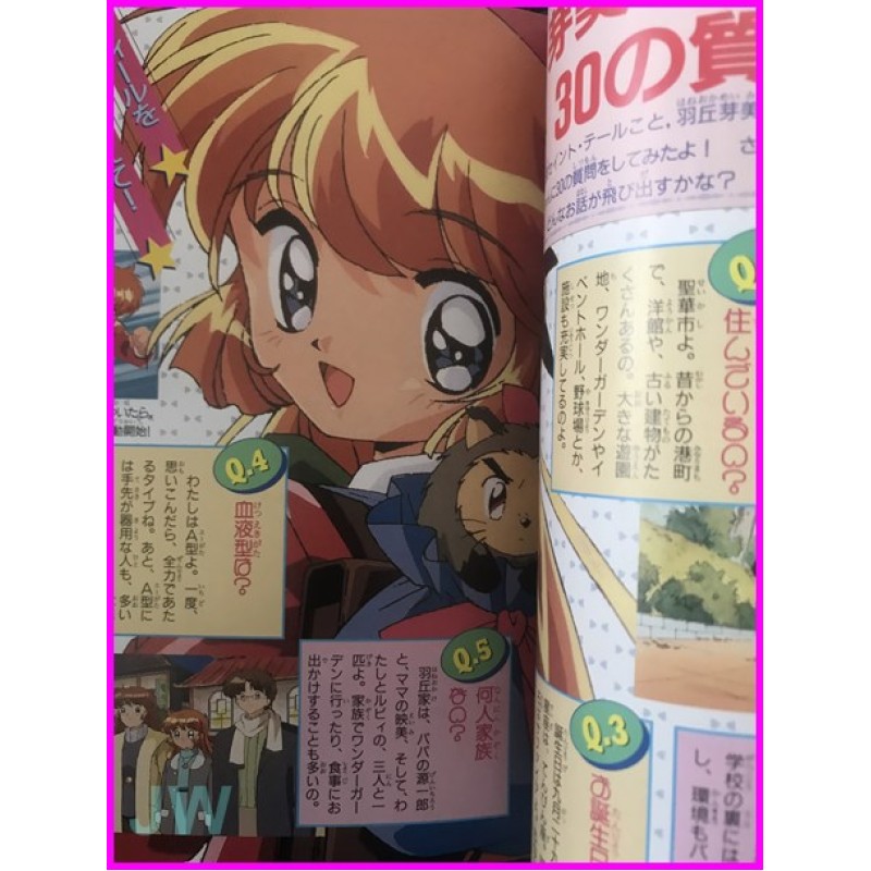 Saint Tail Kaito Anime Fan Book ArtBook JAPAN Shojo