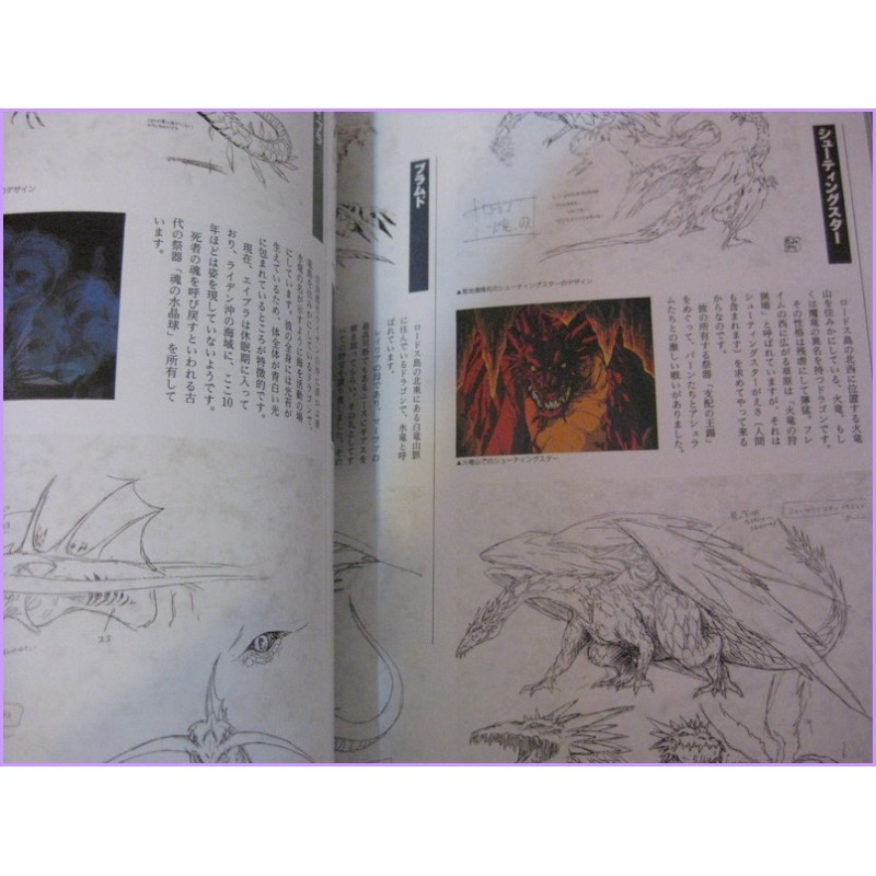 RECORD OF LODOSS WAR OAV Vol.1 e 2 SET Anime Book Illustration Special Artbook Nobuteru Yuuki