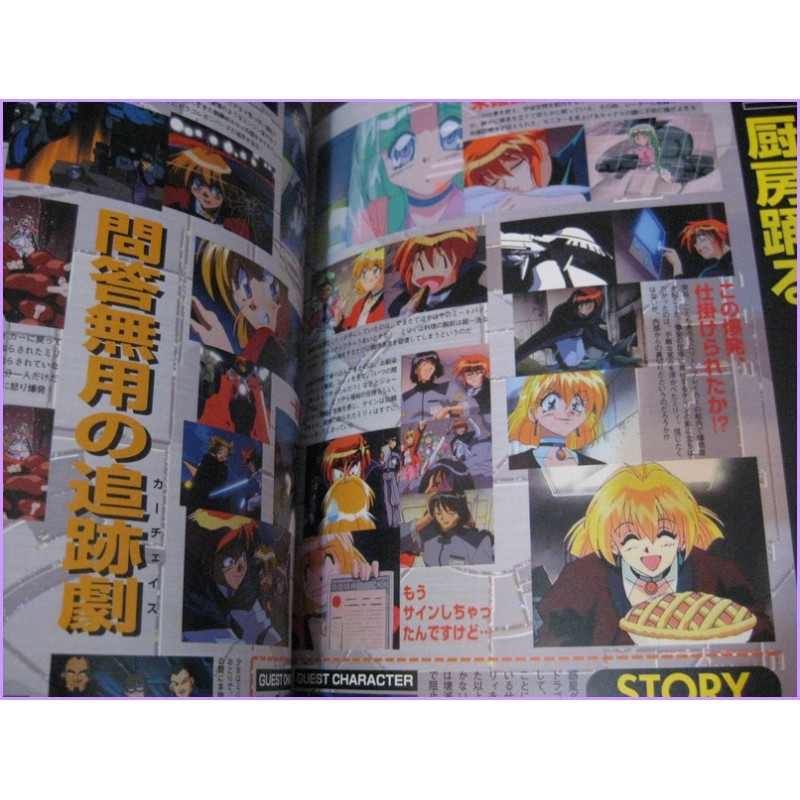 Lost universe Anime Special Book Rui Araizumi Anime 90s