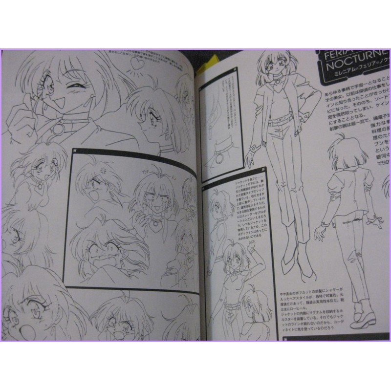 Lost universe Anime Special Book Rui Araizumi Anime 90s