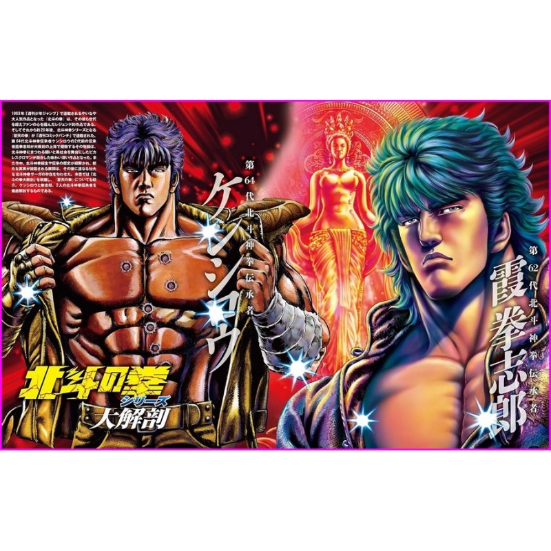 Hokuto No Ken Series Daikaibo Japan Book magazine