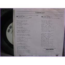 Hokuto no Ken il guerriero TOUGH BOY - LOVE SONG 45 vinyl record Disco 7a-0700