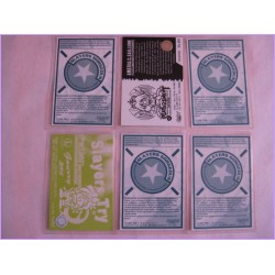 SLAYERS set 6 lamicard Original Japan Anime manga 90s Laminated Card Try Next Gorgeus