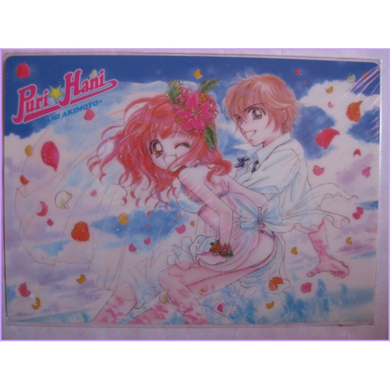 Puri Hani Nami Akimoto Shitajiki Gadget Manga 90s Shojo