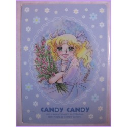 Candy Candy Shitajiki Gadget Anime Igarashi