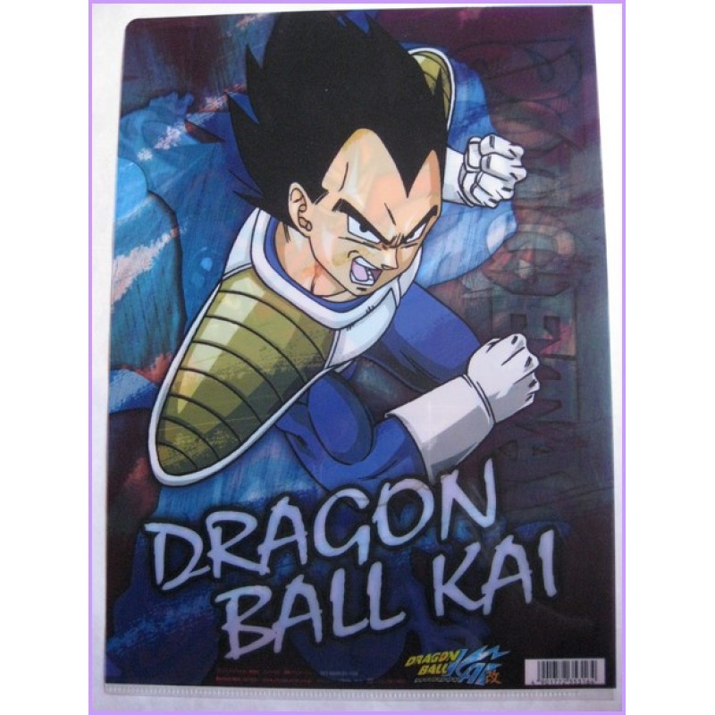 Dragon Ball Z CLEAR FILE cartelletta Original Japan Gadget Anime manga
