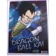Dragon Ball Z CLEAR FILE cartelletta Original Japan Gadget Anime manga