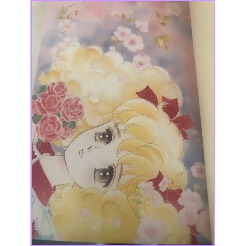 Lady Lady 1 Manga Shojo Youko Hanabusa