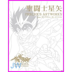 SAINT SEIYA Cavalieri Zodiaco ANIME PRECIOUS  ILLUSTRATION Book ArtBook JAPAN Recent
