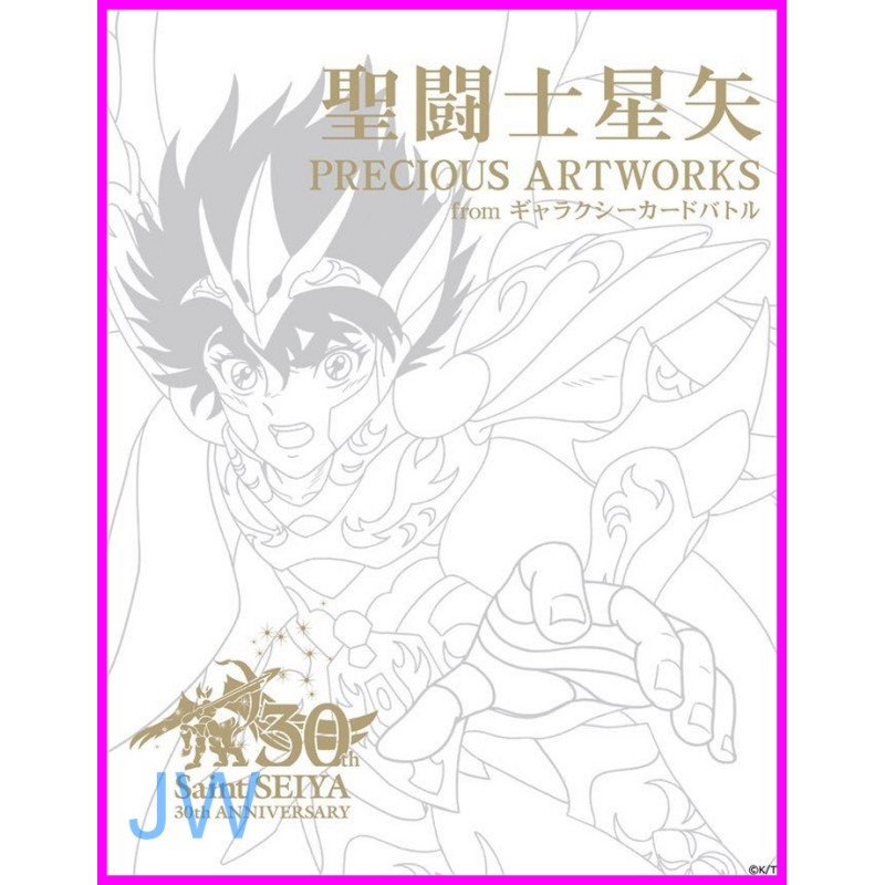 SAINT SEIYA Cavalieri Zodiaco ANIME PRECIOUS  ILLUSTRATION Book ArtBook JAPAN Recent