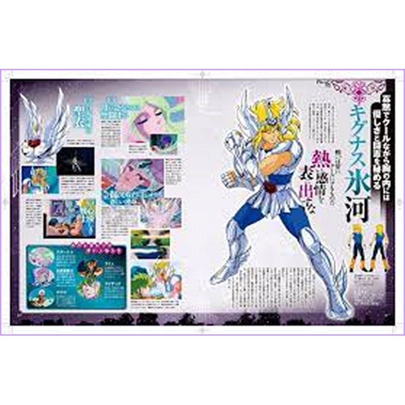 SAINT SEIYA Cavalieri Zodiaco DAIKAIBO ANIME SPECIAL Magazine 